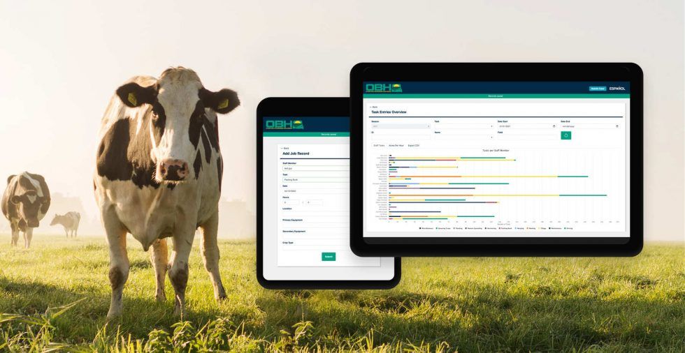 Willet Dairy  Development